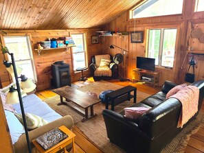 TV, fireplace, DVD player, books