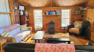 TV, fireplace, DVD player, books