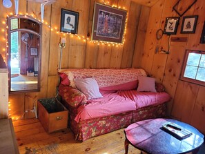 TV, fireplace, DVD player, books