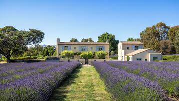 Khuôn viên nơi lưu trú