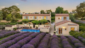 A two-story house with a swimming pool, surrounded by lavender fields. - French Fields NZ (Fairhall)