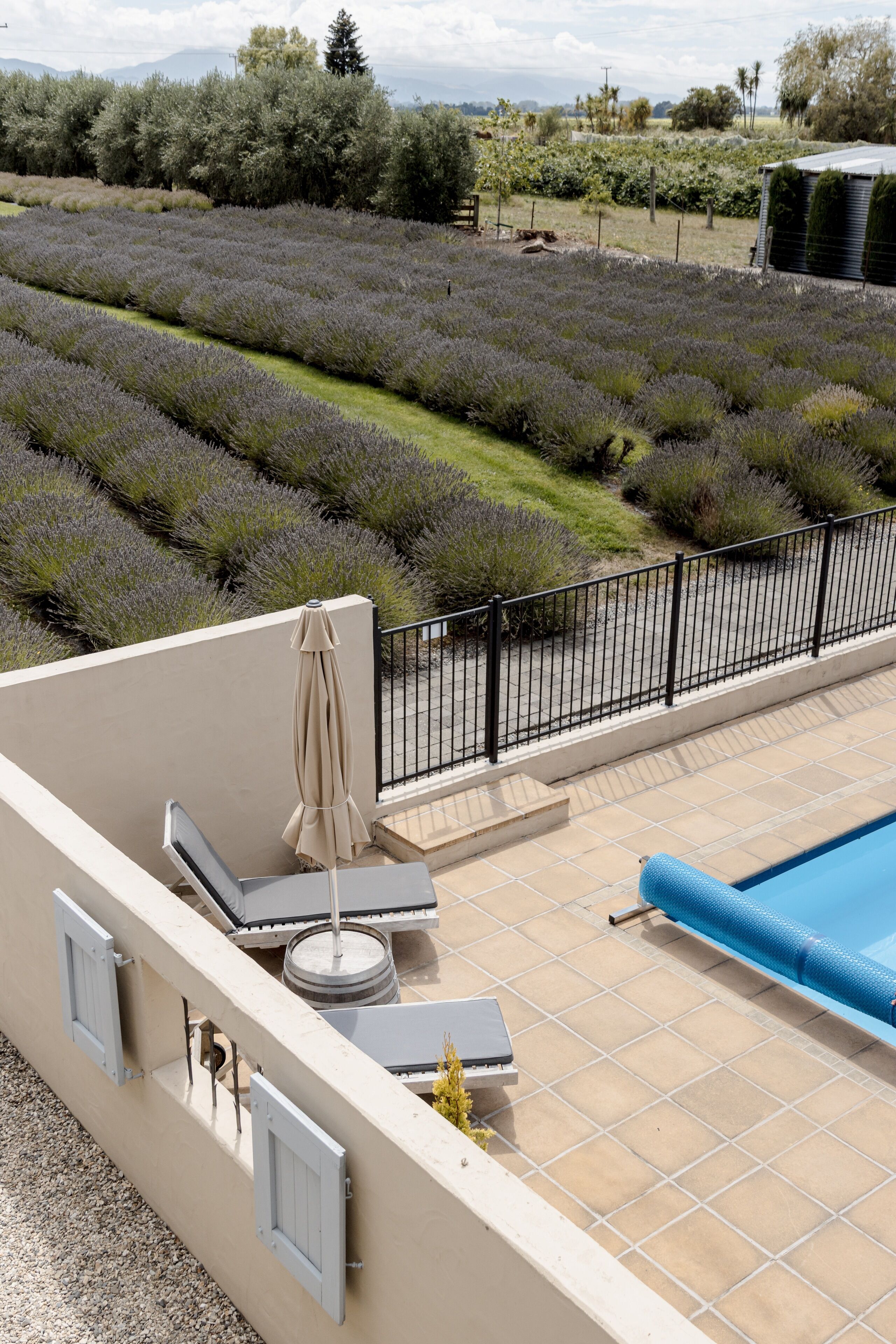 Terraza en la azotea con piscina, mobiliario exterior y vistas a campos de lavanda.