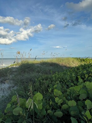 In Strandnähe, Liegestühle, Strandtücher