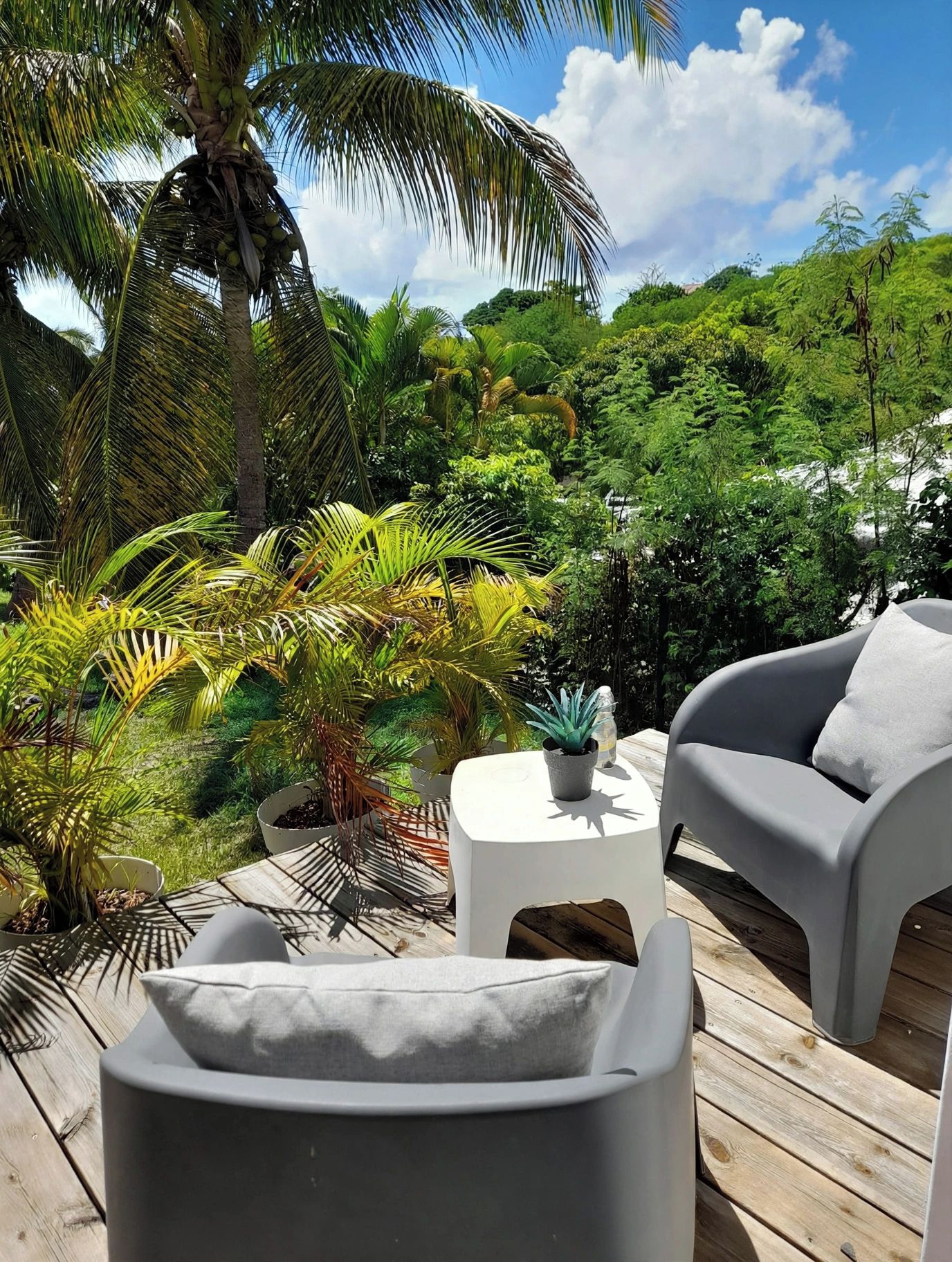 Eine Holzterrasse mit einer grauen Couch und einem kleinen Tisch, umgeben von üppigen tropischen Pflanzen und einer Palme.