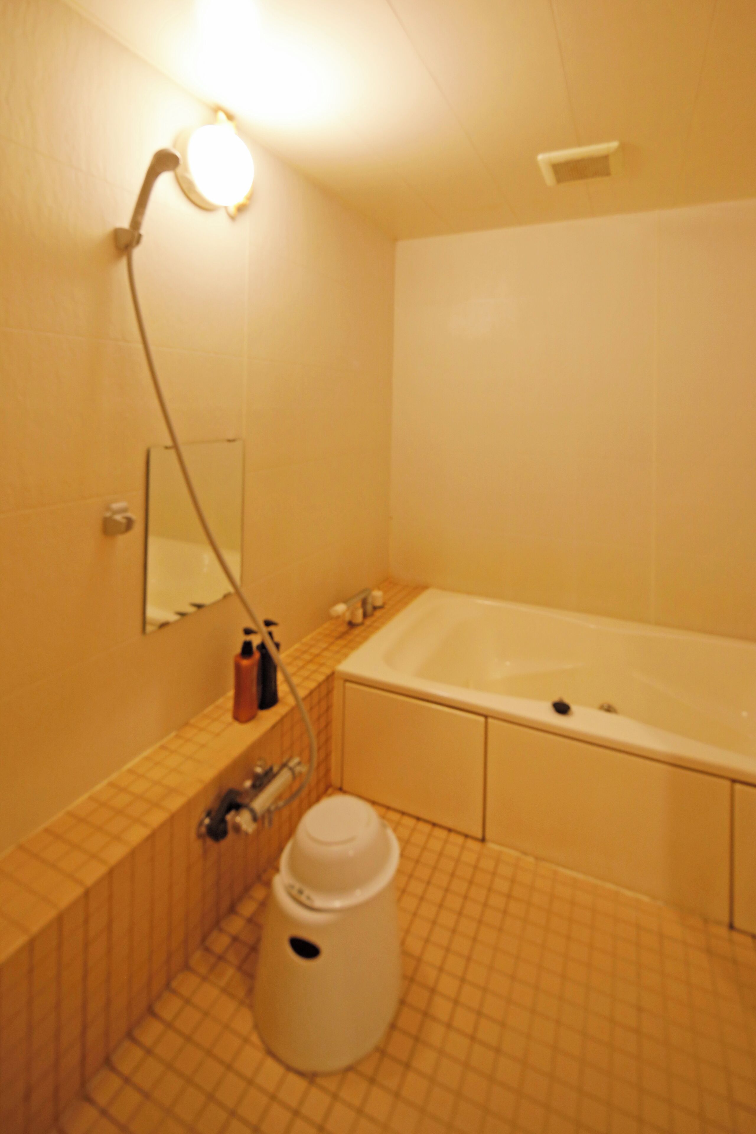 Combined shower/bathtub, free toiletries, hair dryer, towels