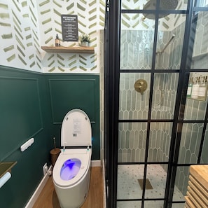 Regadera, secadora de cabello, bidet, toallas