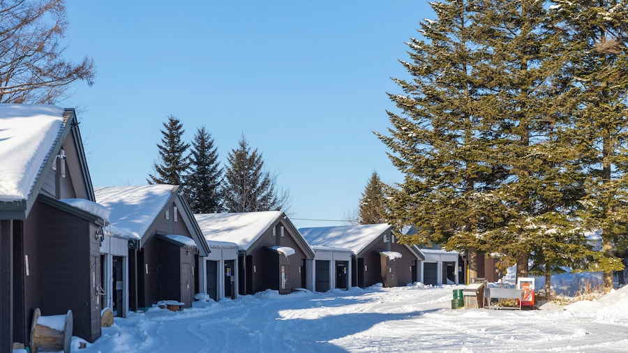 STARRY SKY COTTAGE 13