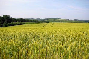 Exterior - STARRY SKY COTTAGE 15 (Kitami)