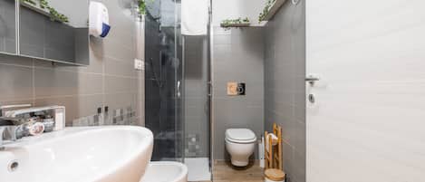 Shower, hair dryer, towels