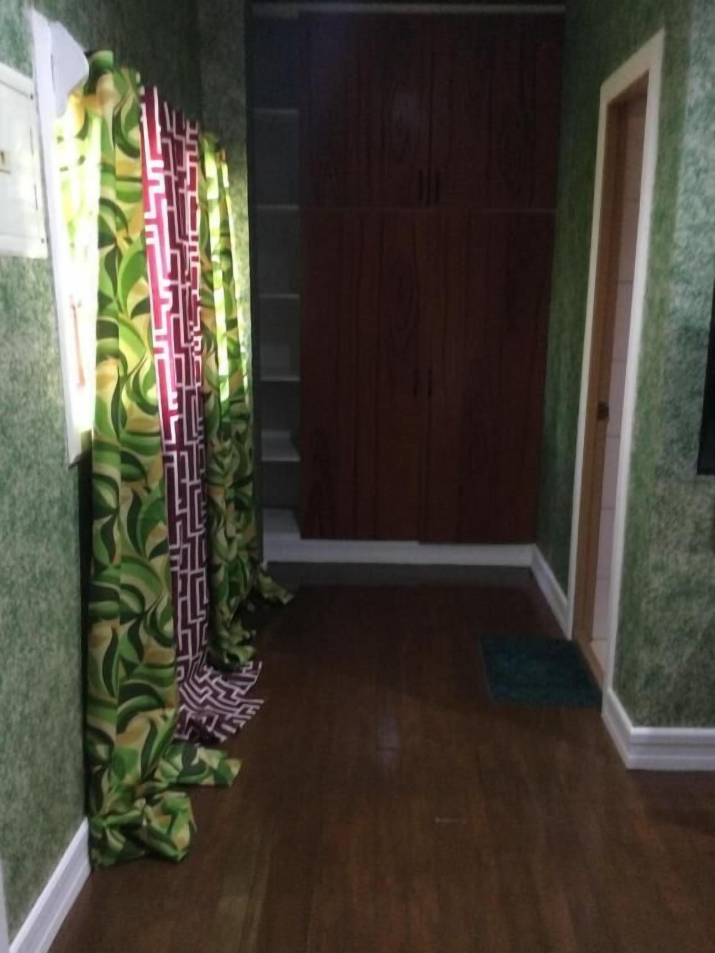 A hallway with patterned curtains, a wooden door, and a green carpet.