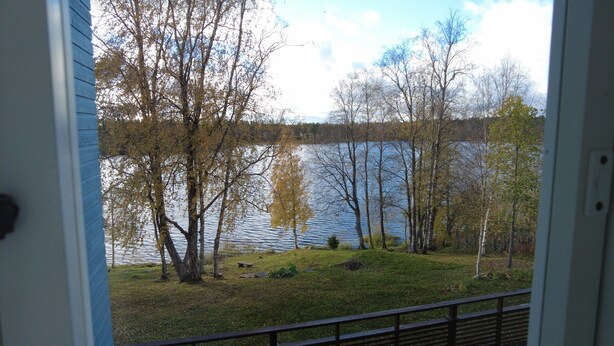 Une vue sur un lac, avec des arbres et une zone herbeuse.