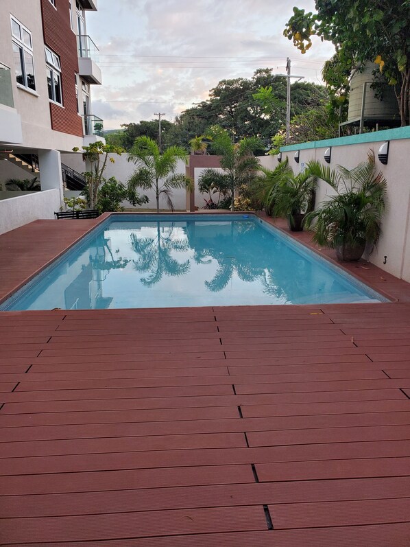 Pool - Charming 1-bedroom apartment with AC, WiFi in awesome Kingston! (Kingston)