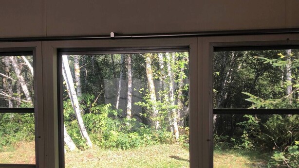 Blick durch ein Fenster auf eine bewaldete Landschaft.
