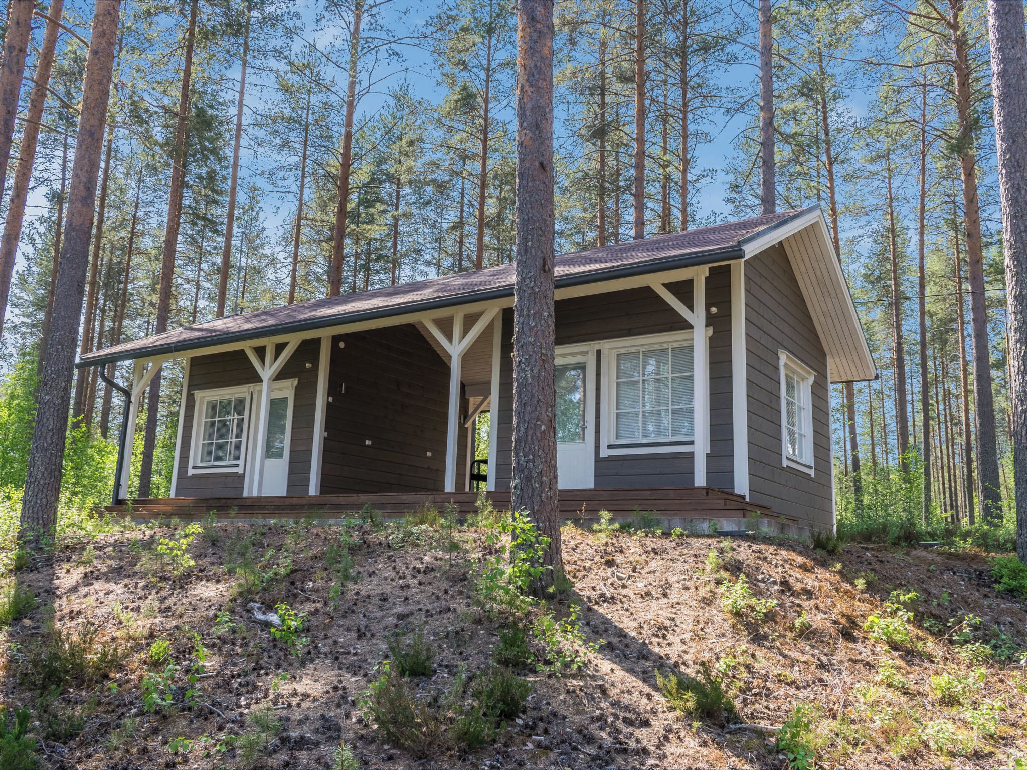 A cabin with a porch, surrounded by tall trees.