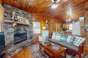 TV, fireplace