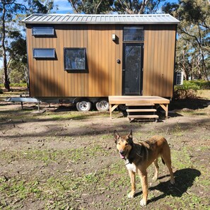 Eine kleine Holzhütte mit einer Schiebetür, einer Bank und einem Hund davor.