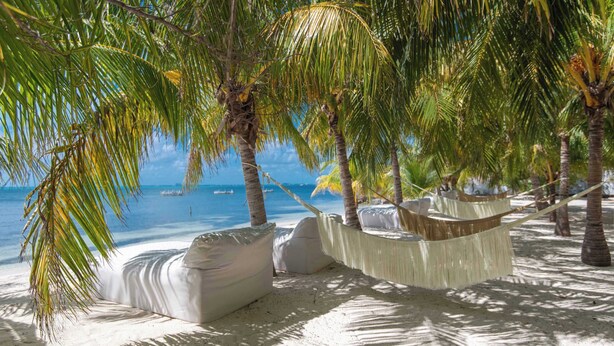 Ein Strand mit weißen, gepolsterten Sitzgelegenheiten unter Palmen mit Blick auf den Ozean.