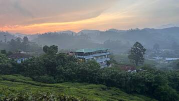 A multi-story building with a green roof, surrounded by lush greenery and tea plantations.