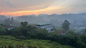 Un immeuble à plusieurs étages surmonté d’un toit végétalisé, entouré d’une végétation luxuriante et de plantations de thé.