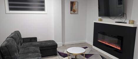 Smart TV, fireplace, books