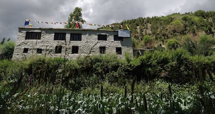 ZOMSA Culturehub