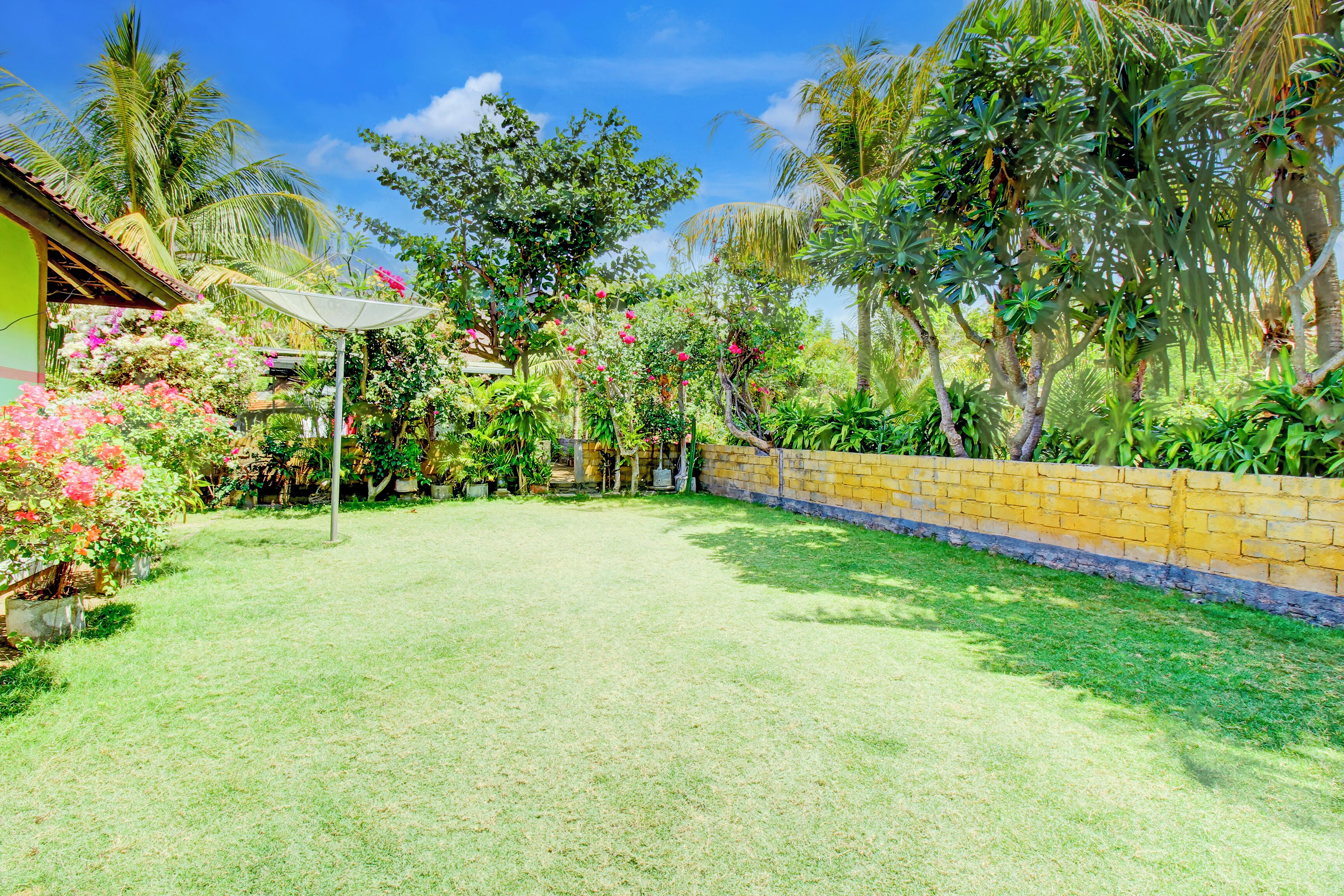 A lush garden with a brick wall, palm trees, and various flowering plants.