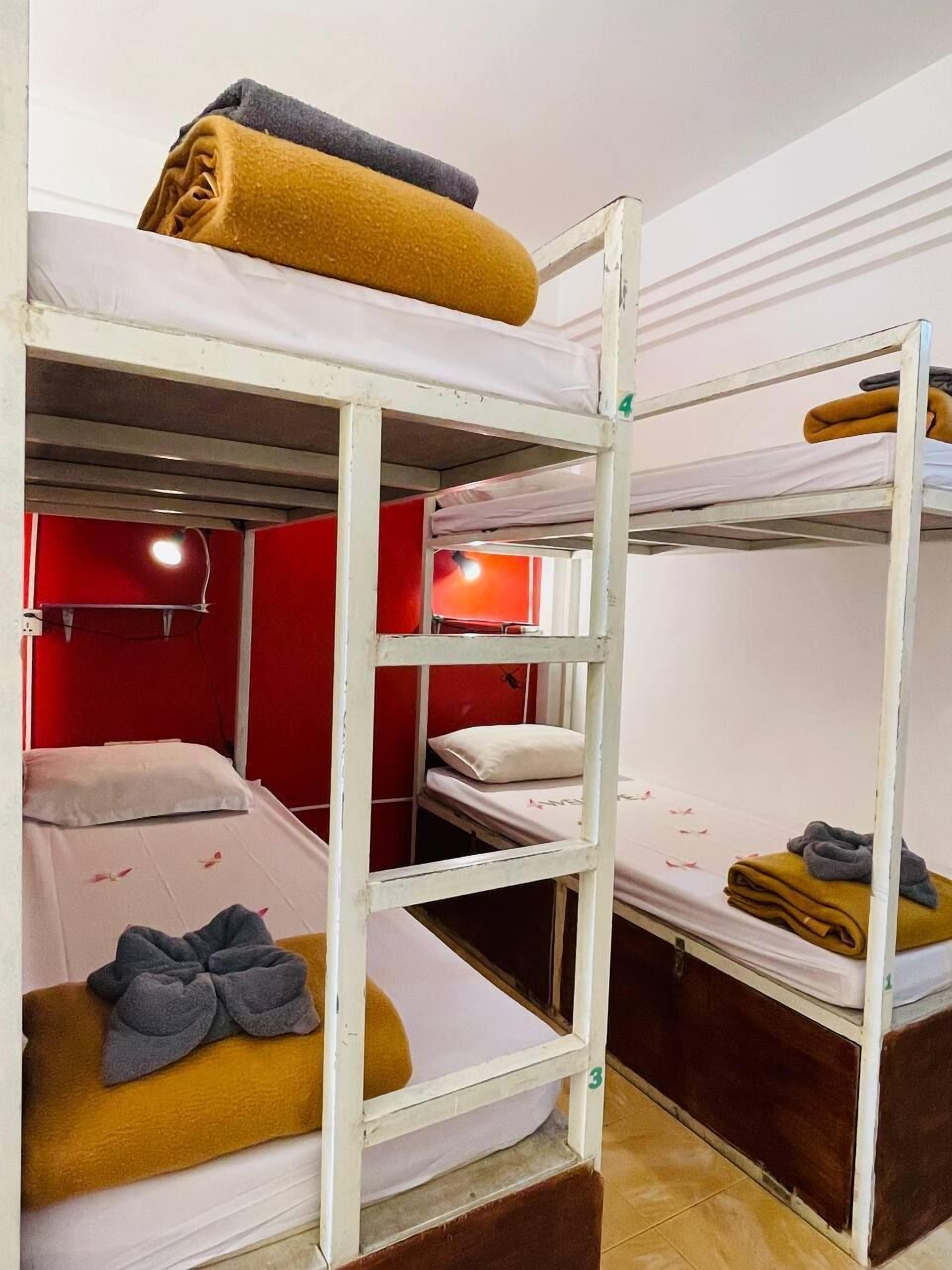 A bunk bed room with a ladder, a red wall, and a number 3 on the lower bunk.