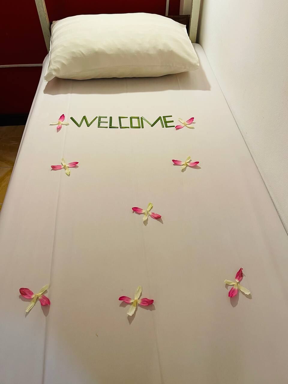 Premium Shared Dormitory | In-room safe, desk, laptop workspace, blackout drapes