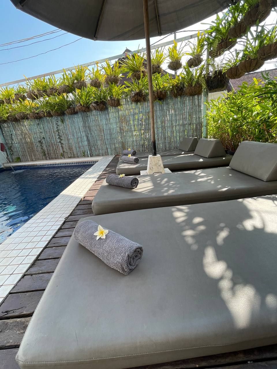 A poolside area with lounge chairs and a bamboo wall.