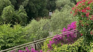 A lush green landscape with dense foliage and vibrant pink flowers, overlooking a body of water and distant hills. - Green Oasis 1 (Lerici)