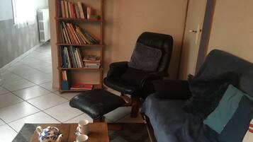 TV, fireplace, books