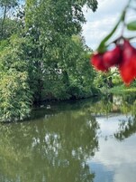 Edredones de plumas, minibar, escritorio