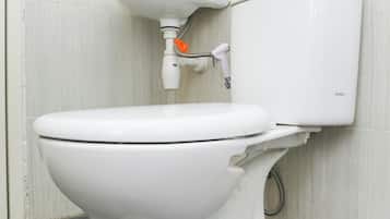Deluxe Double Room | Bathroom | Shower, bidet, towels, soap