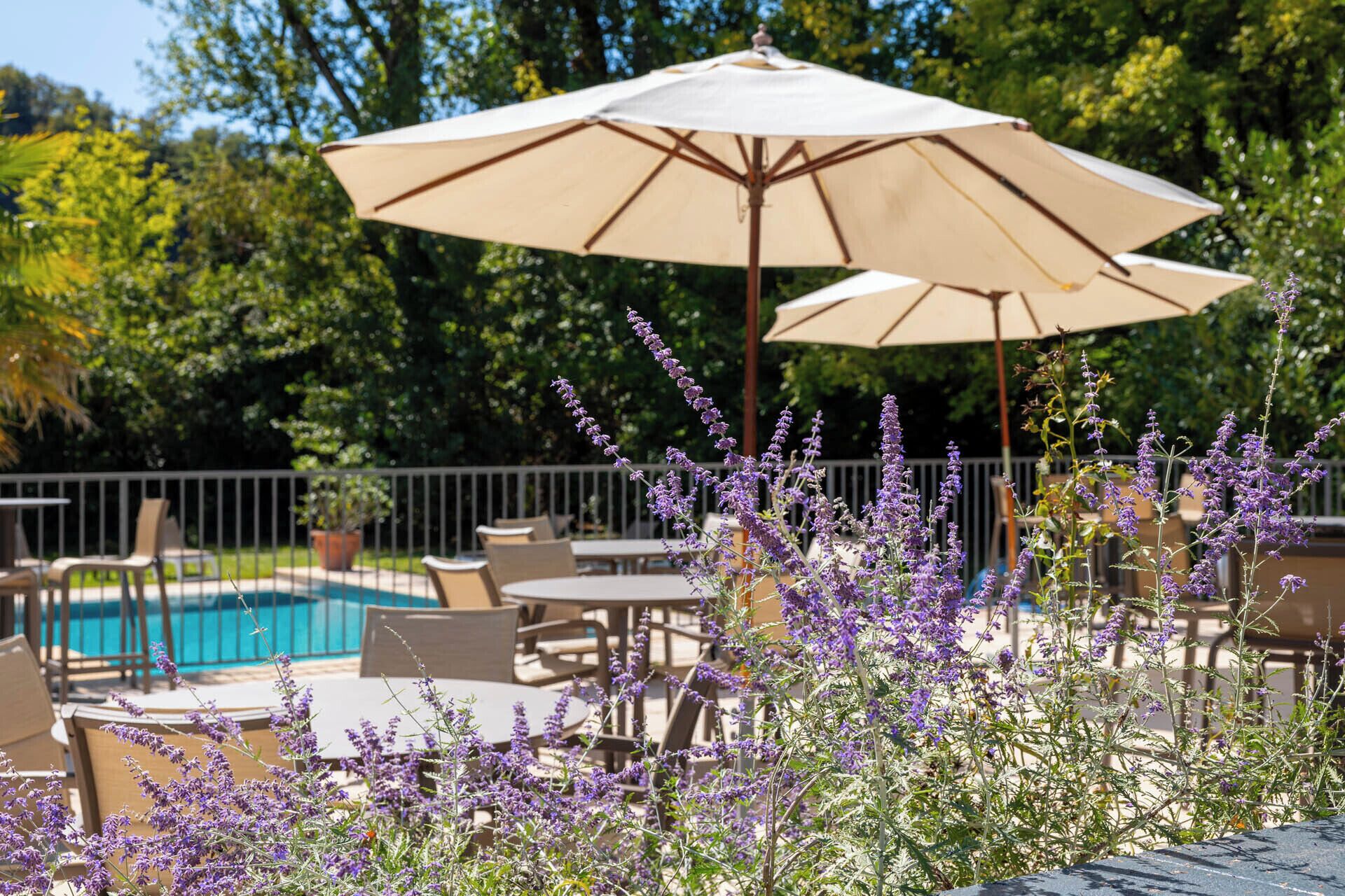 Zona de piscina exterior con sillones de descanso y una sombrilla.