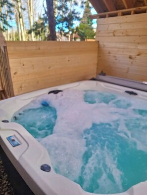 Baignoire à remous extérieure