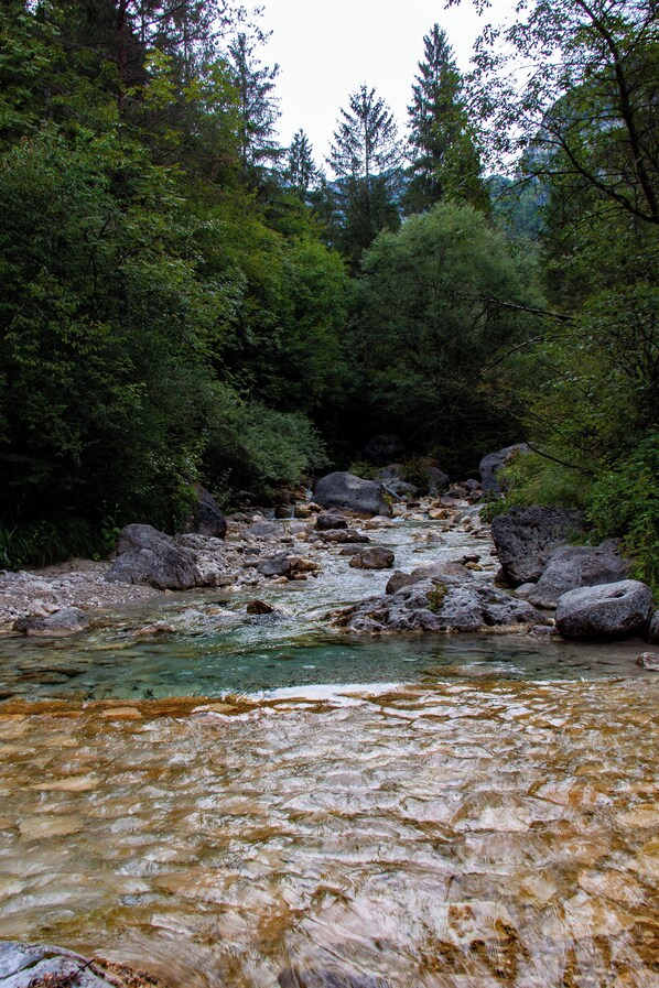 A river flowing through a forested area with rocks and trees. - CasaZefira (Feltre)