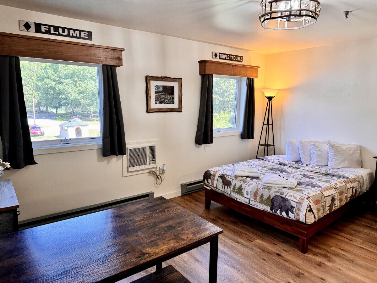 1 chambre, bureau, fer et planche à repasser, lit parapluie