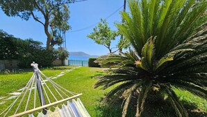 A hammock tied to a wooden post in a grassy area with a palm tree and a view of the sea.