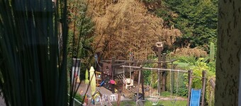 Ferienhaus "gängelbach" Auszeit im Grünen bei Bachrauschen!