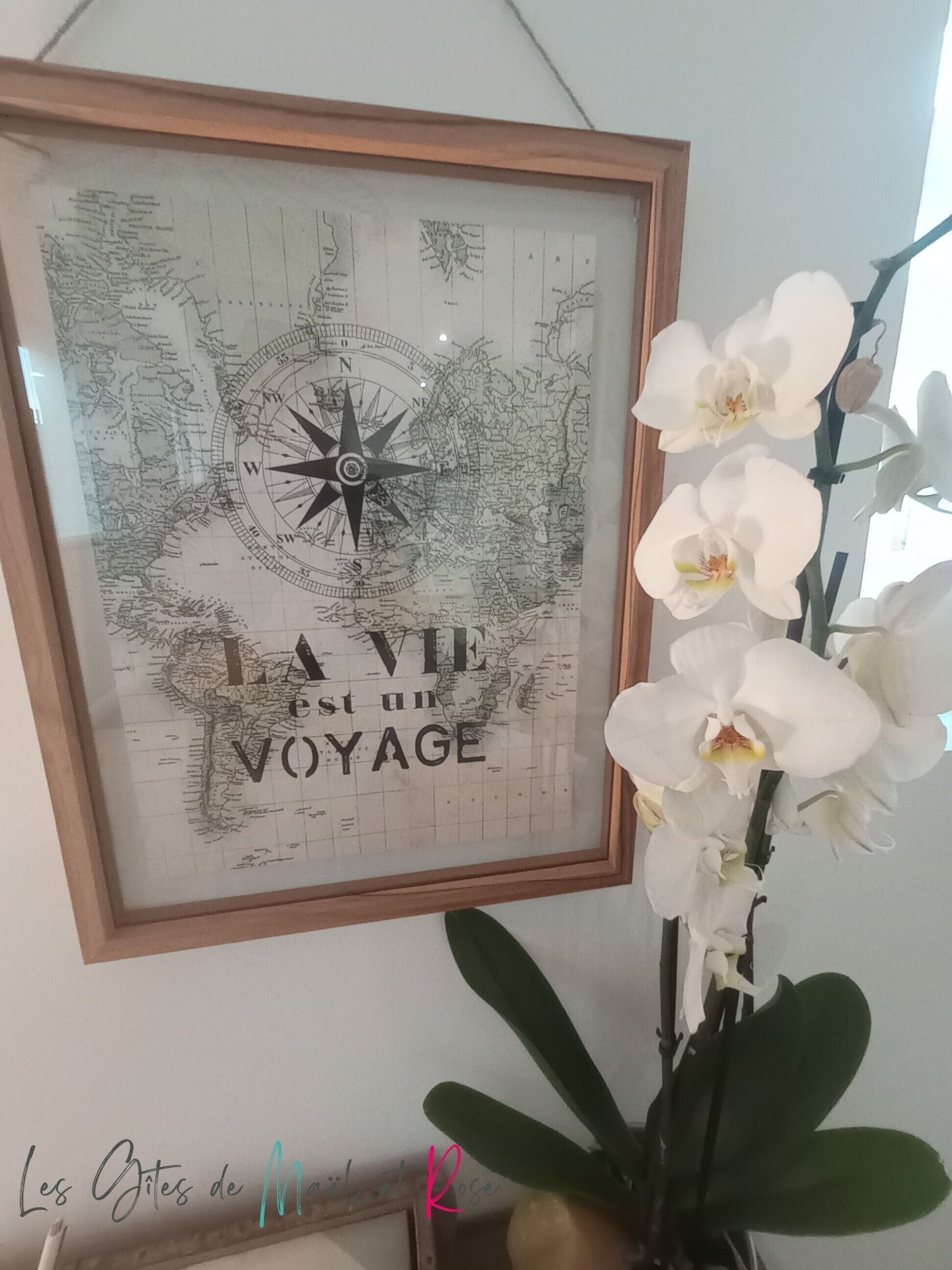 A framed world map with the phrase "A voyage is an adventure" and a potted orchid plant beside it.