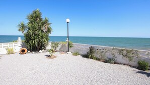 Un camino costero con una palmera, un farol y vistas al mar.