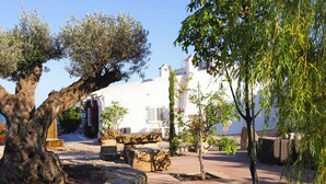 Un patio con un árbol grande, bancos de piedra y un edificio blanco con una torre.