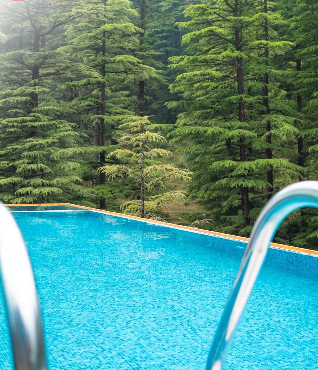 A swimming pool with a view of a dense forest.