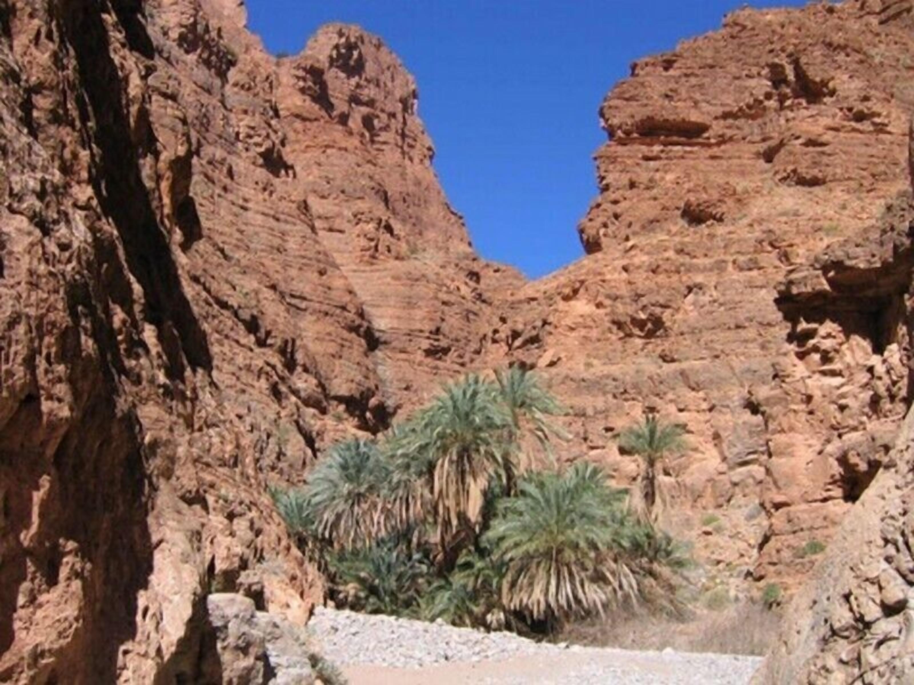 مكان جذب سياحي