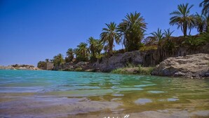 Una spiaggia con acqua cristallina turchese, palme e terreno roccioso.