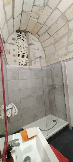 Shower, towels, toilet paper
