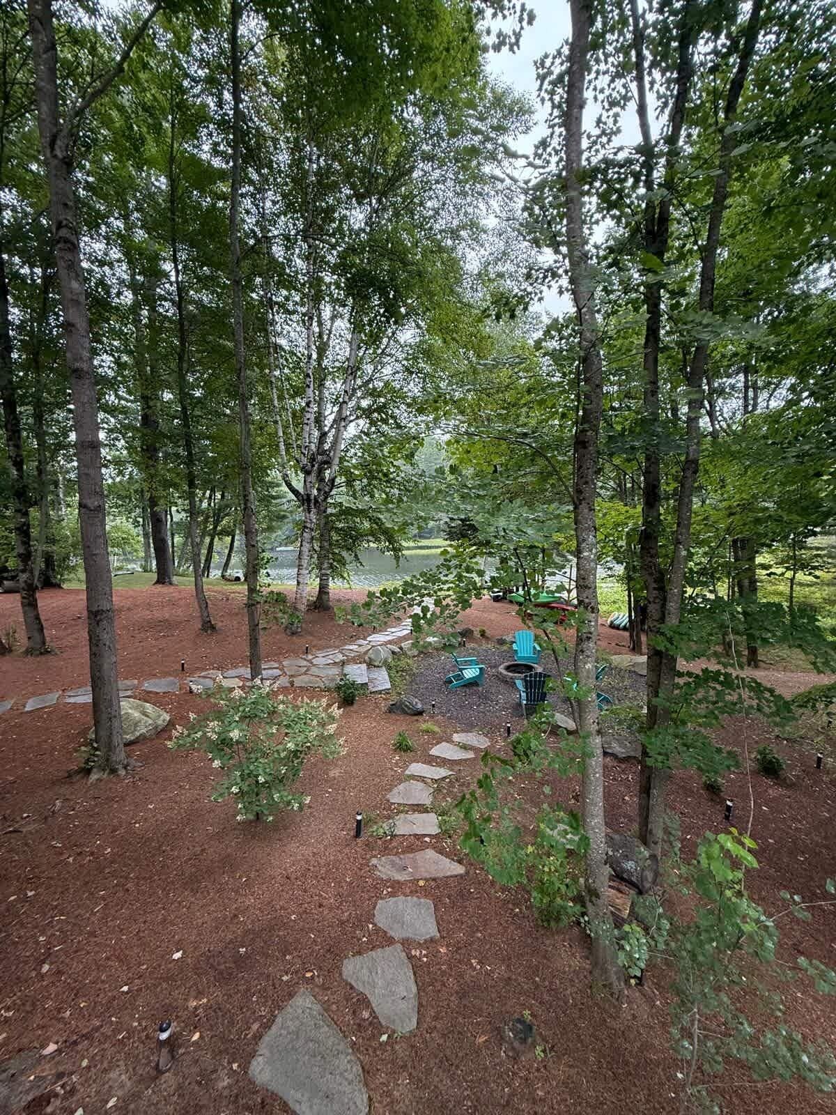 A forested area with a stone pathway leading to outdoor seating.