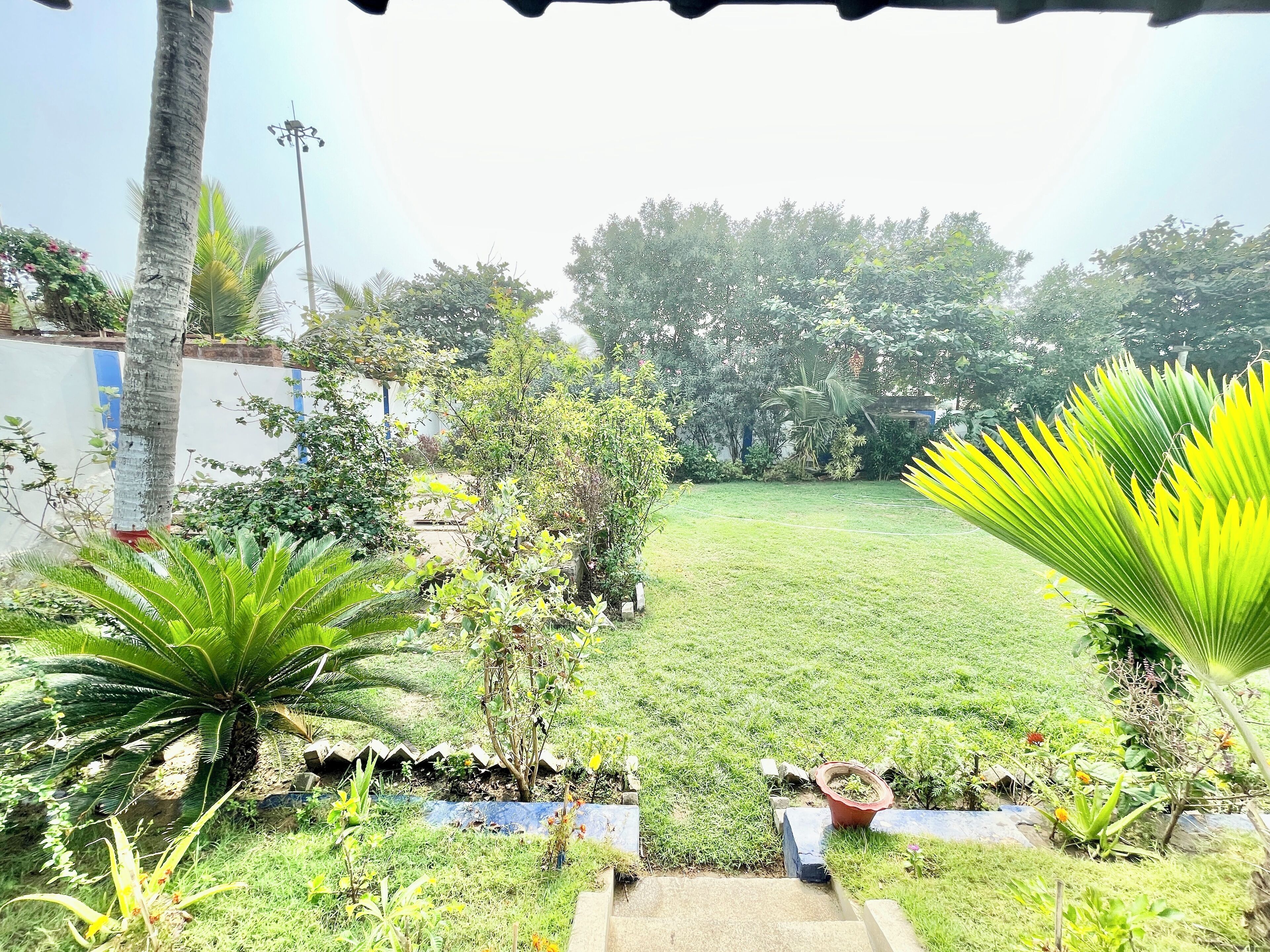 A well-maintained garden with a variety of plants and a grassy lawn.