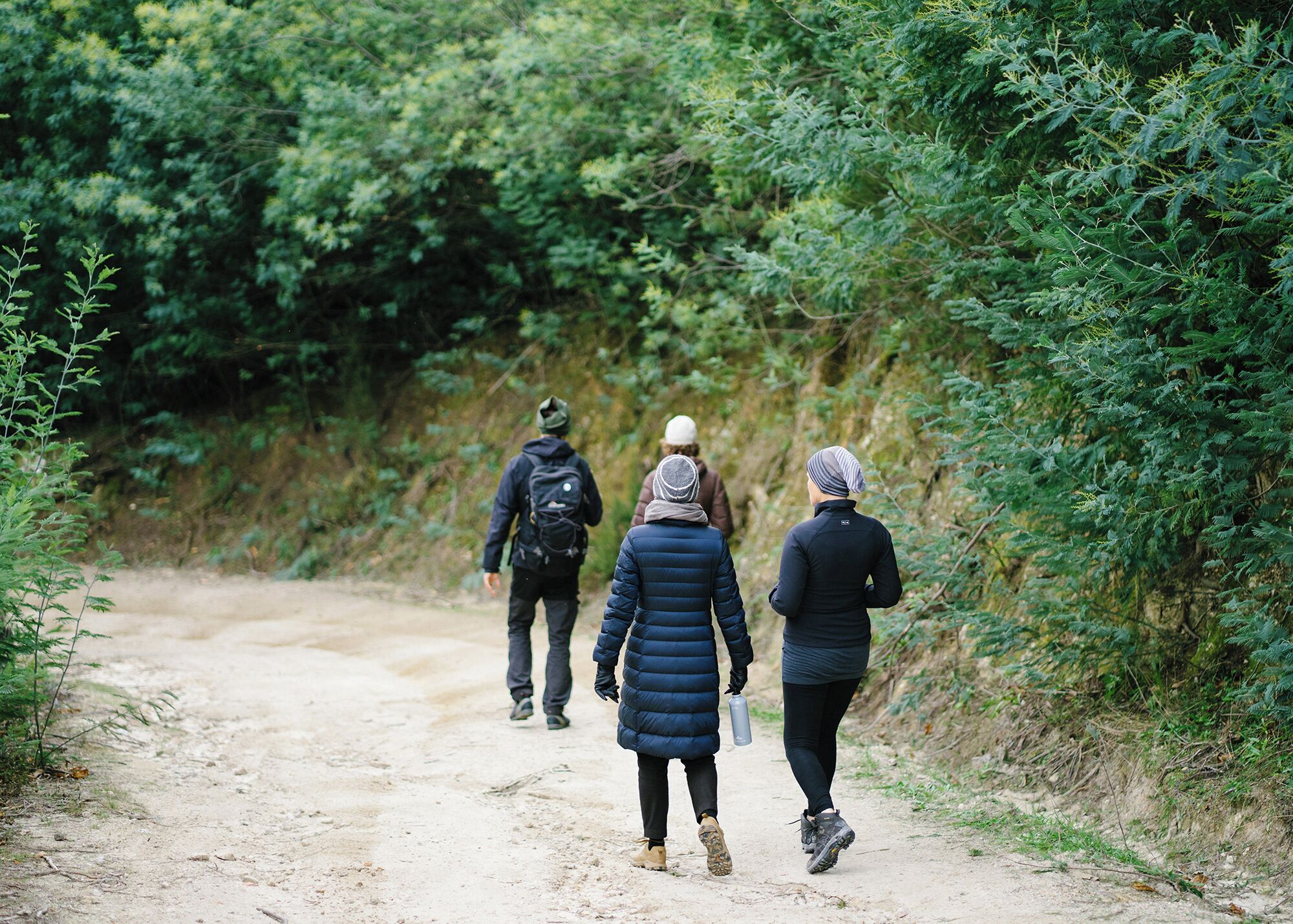 A dirt path surrounded by dense greenery.