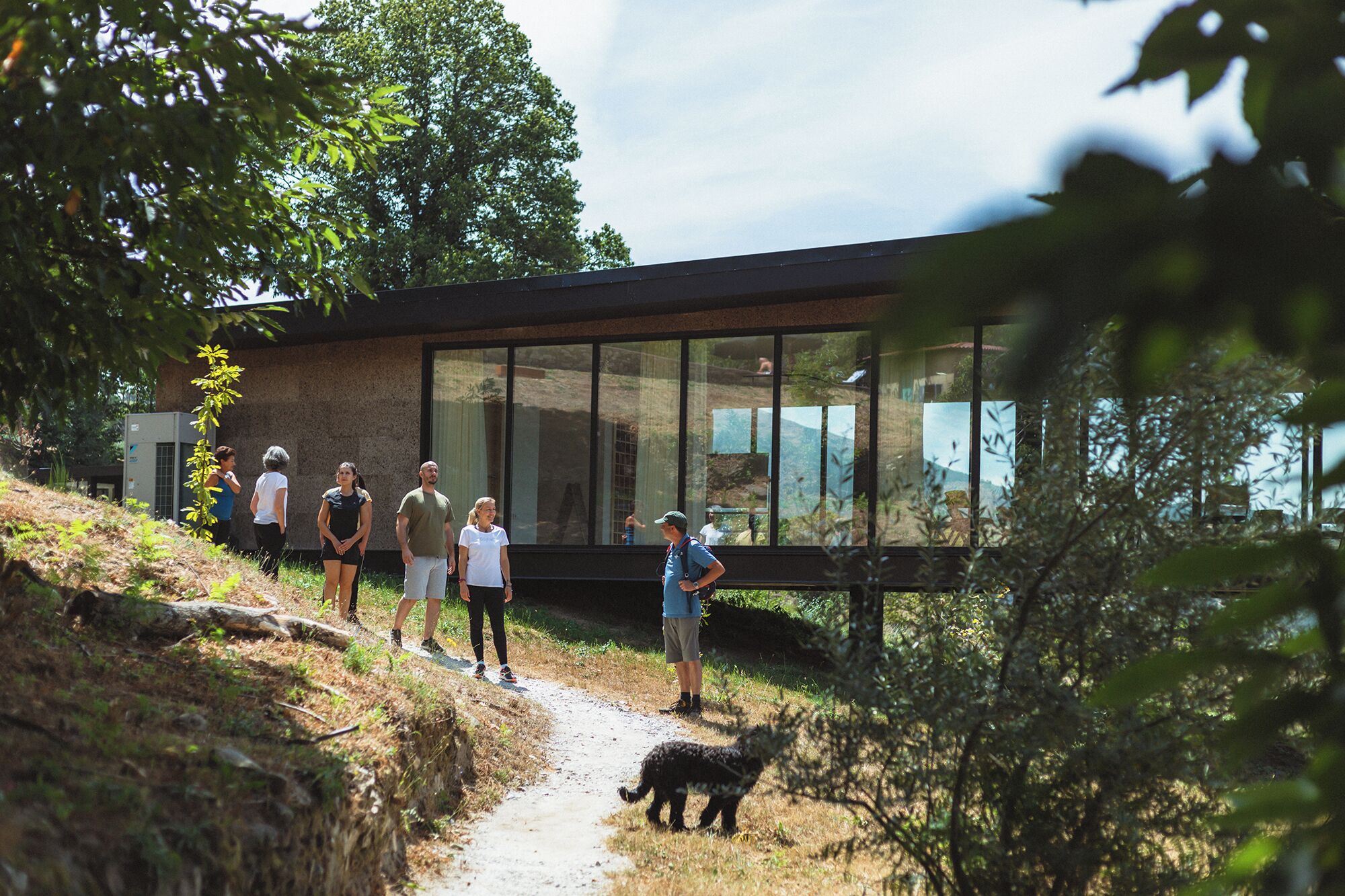 A modern building with large glass windows, a paved path, and a dog walking nearby.